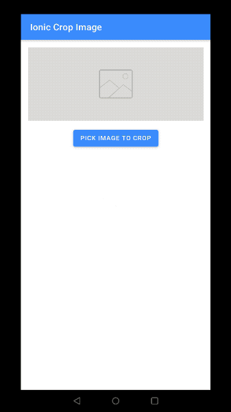 Crop an image taken from Gallery in Ionic 5 app